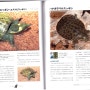 [거북이도감] Freshwater Turtle 128~147 page