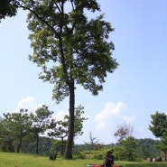 [2013.6.29~30] 양평 수목원 캠핑장