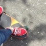 chica 님 amazon.com Goldcoast Complete Longboard-Pier-Shovel Skateboard 구매후기!