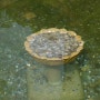 연못에 던져진 동전들은 어떻게 될까요?
