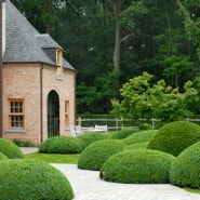 헤지(Hedge)와 토피어리(Topiary)를 이용한 정원 디자인