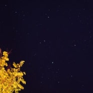 가평 캠핑장[홀리데이캠프] 밤하늘