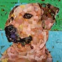 [하비앤레보]My dog collage - Samuel price (마이독콜라주 - 사무엘 프라이스) / 동물 콜라주 / 강아지 콜라주 / 반려견 콜라주 / 콜라주 작품 / 해외 아티스트