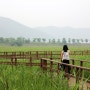 경기도 광주 가볼만한 곳 : 경안천 습지생태공원