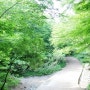 서울에서 산림욕하기 좋은 곳