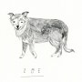 [하비앤레보]Drawing for dogs - Hannah Evelyn Rowlands(해나 에블린 로우랜드) / 강아지 일러스트 / 동물 일러스트 / 영국 일러스트 작가