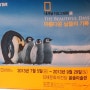 [김해 전시회] 문화의전당:내셔널지오그래픽展_아름다운 날들의 기록