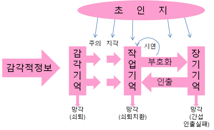 인지주의 학습이론 : 네이버 블로그