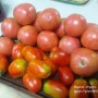토마토 쨈 만들기