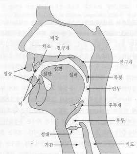 한국어 음운론 : 한글 자음,모음 분석과 자모음 분류표(자음체계,모음체계) : 네이버 블로그