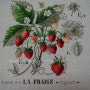Etude aux fraises de V′eronique Enginger