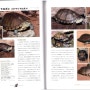 [거북이도감] Freshwater Turtle 148~167 page