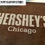 시카고 맛집 세상에서 가장 큰 hersheys 초콜릿이 있는 시카고 매장 방문기2탄