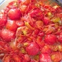 토마토 발효액 만들기