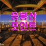 야경 포인트-141..응봉산 포인트..나이트스케이프,서울시내 대표적인 야경 포인트,야경찍기좋은곳,야경 담만을만한곳