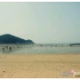 을왕리 해수욕장 / 서해안 해수욕장/ 서울 근교해수욕장