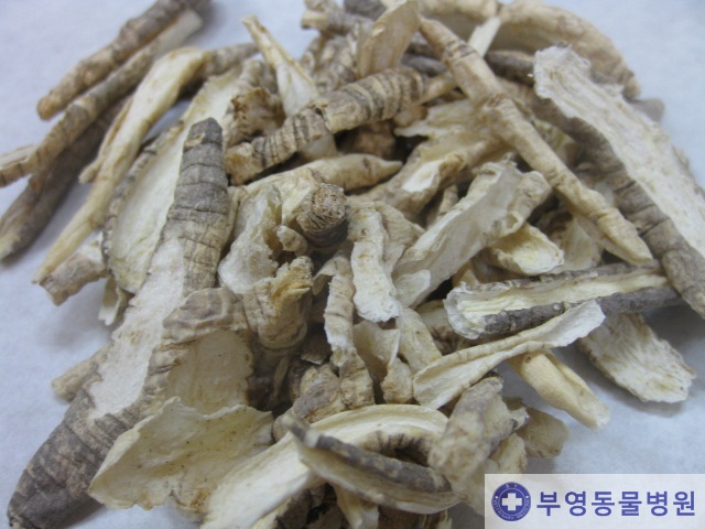 사삼(沙蔘) : 네이버 블로그