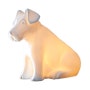 [하비앤레보]동물모양 조명 / 디자인 조명 / 강아지 램프 / 포니 램프 / 토끼 램프 / 부엉이 램프 / 고양이 램프