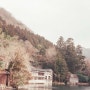 일본여행 유후인 긴린코호수