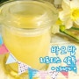 바오밥 리프티스 샴푸(노화방지/천연샴푸만들기)