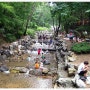 서울대공원 자연캠프장에서의 한나절