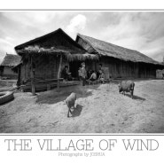 [Exhibition 2013] The Village Of Wind