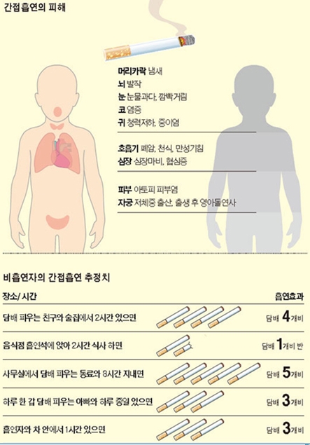 [파랑새포럼 취재기사]음주와 흡연의 관계 - 정선찬 기자 : 네이버 블로그
