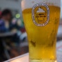 [도쿄오또나] 도쿄에서 무한 맥주 즐기기! 도쿄 비어가든 - 시부야,하라주쿠 - ♥