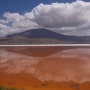 [볼리비아] 22. 장미빛 호수 콜로라다 - 우유니투어 둘째날