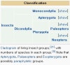 Evolution Of Insects - Phylogeny And Evolution : 네이버 블로그