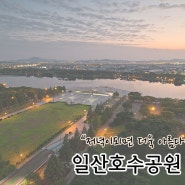 일산호수공원 야경 [나이트스케이프/꽃떡☆]