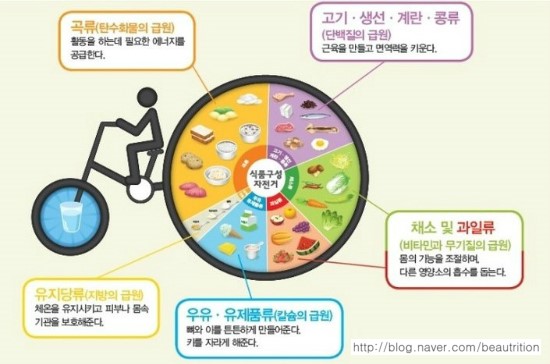 영양소란 무엇일까요? 6대 영양소 알아보기! : 네이버 블로그