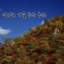 [가을 등산지 추천⑦] 경상도 가을 등산 코스 추천_금오산,일월산,백암산