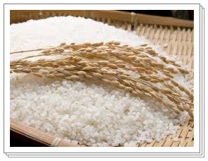 쌀벌레 생기는이유, 쌀벌레 퇴치법, 쌀벌레생긴쌀먹어도되는지... : 네이버 블로그
