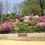경복궁의 봄여름 - 위민의 궁궐