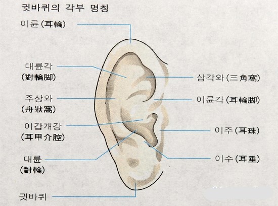 하루 한번, 귀 잡아 당기면 질병이 도망간다 : 네이버 블로그