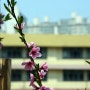 <사진> 봄이 찾아오는 길목