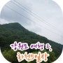 강원도 화천 여행 2. 한국의 전통시장 - 화천 5일장