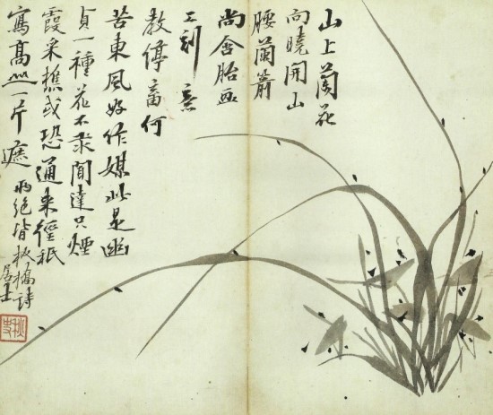 徐居正의 漢詩 속에 수용된蘭草의 性格과 意味 네이버 블로그 徐居正의 漢詩 속에 수용된蘭草의 性格과 意味 네이버 블로그
