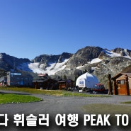 캐나다여행 휘슬러 블랙콤 산에서 PEAK TO PEAK 타기