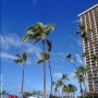 [하와이] 힐튼 하와이안 빌리지 비치/수영장 (Hilton Hawaiian Village) (2013/10)