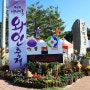 한국의 보르도를 꿈꾸는 영동에서 펼쳐진 제4회 대한민국 와인축제!!!