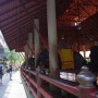 [태국: 파타야] 농눅빌리지 전통춤 공연 & 코끼리 쇼
