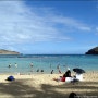 [하와이] 하나우마 베이 (Hanauma Bay) (2013/10)