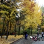 단풍, 서울대공원 동물, 그리고 사람