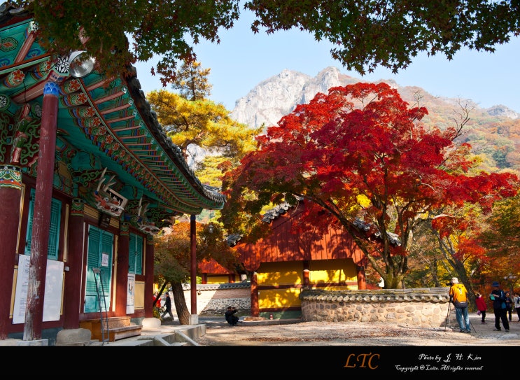 [백양사] 白羊寺의 풍성한 가을풍경 : 네이버 블로그