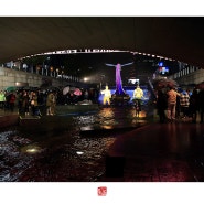 미와놂의 청계천 서울등축제 빗속에서 담은 사진 몇 장 올립니다