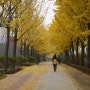 <서울/ 걷고 싶은 길> 가을에 걷기 좋은 곳 위례성길