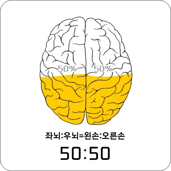 좌뇌, 우뇌. 나는 어떤 형인지 테스트해보자! : 네이버 블로그