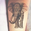 50 Animal Tattoos Unleashing Your Wild Side  Art and Design